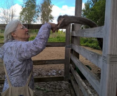 Luontoelämyksiä