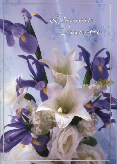 Myytävänä Parkkistuvalla